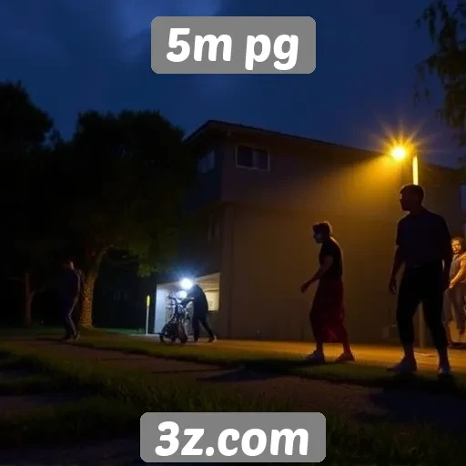 Feedback dos usuários sobre a experiência no 5m pg